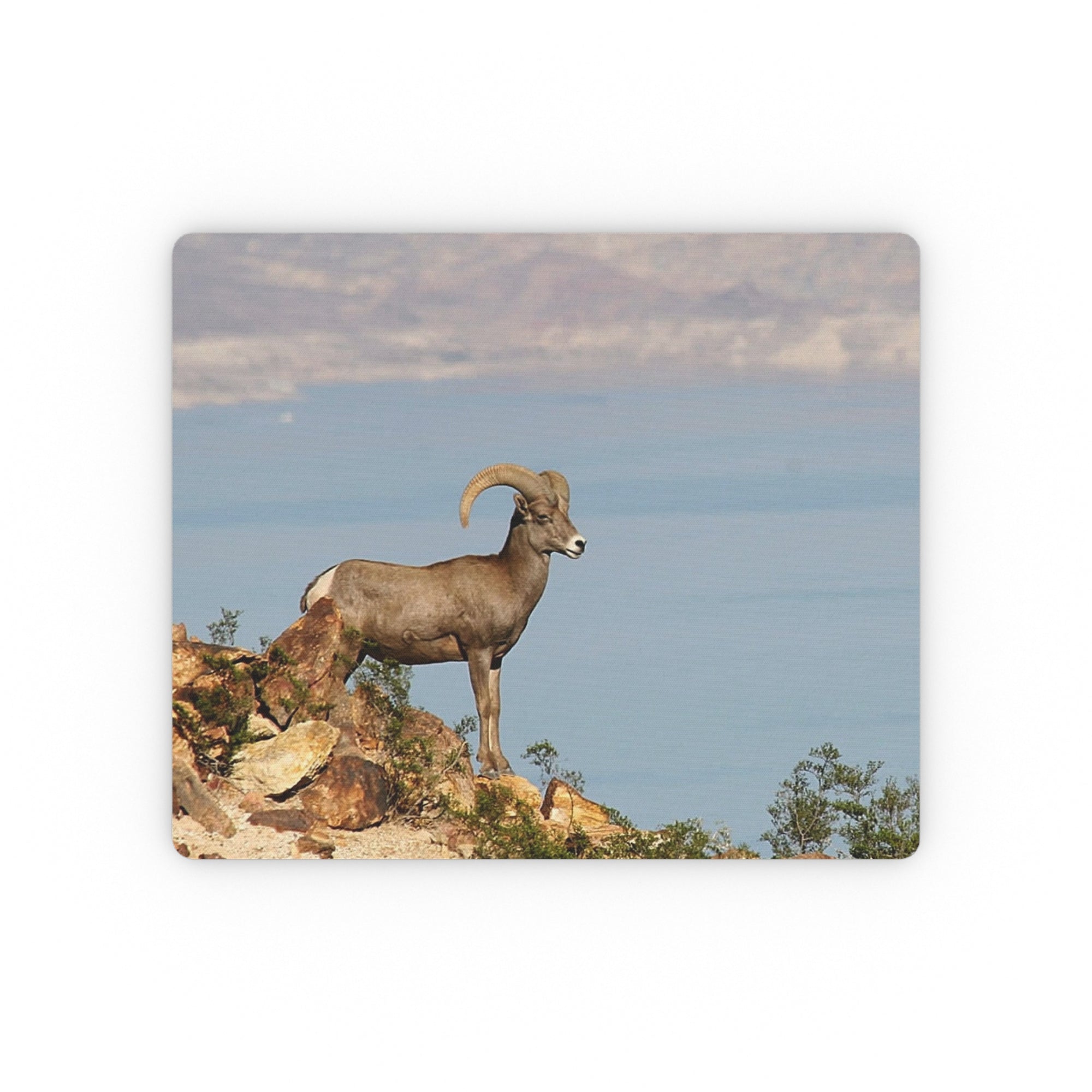 Big Horn Ram - "Boulder City, NV" - Mouse Pad
